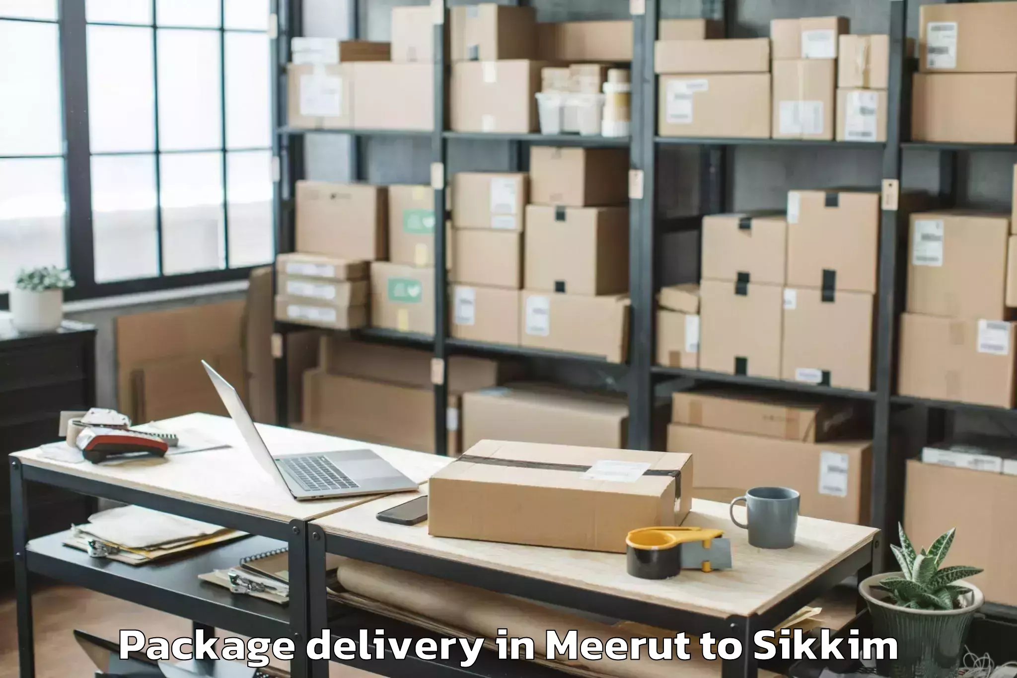 Quality Meerut to Sikkim Manipal University Gang Package Delivery